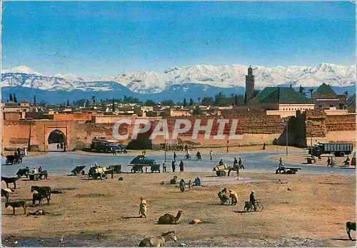 Cartes postales moderne Marrakech Panorama a Bab Doukkala