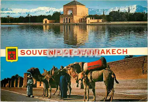 Cartes postales moderne Marrakech La Menara Chameau