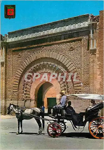 Cartes postales moderne Marrakech