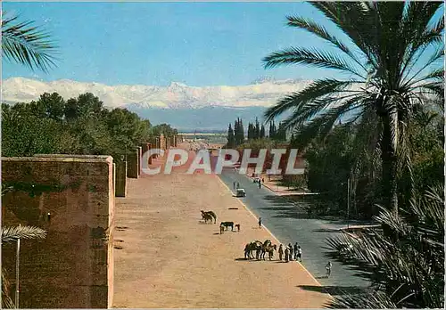 Cartes postales moderne Marrakech Les remparts et le grand Atlas