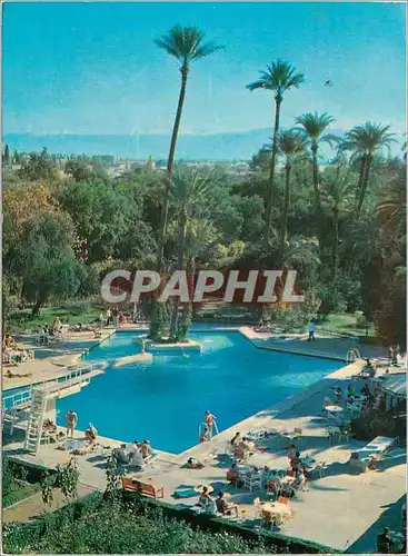 Cartes postales moderne Marrakech Royaume du Maroc