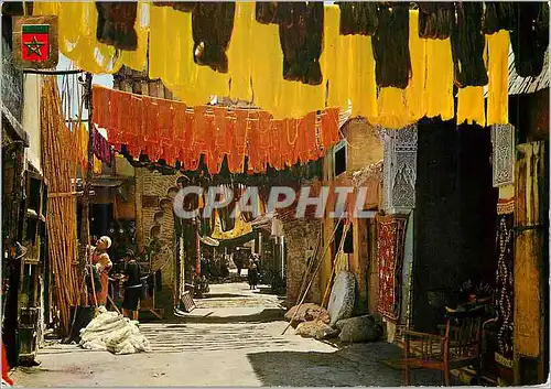 Cartes postales moderne Marrakech