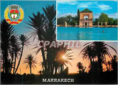 Cartes postales moderne Marrakech