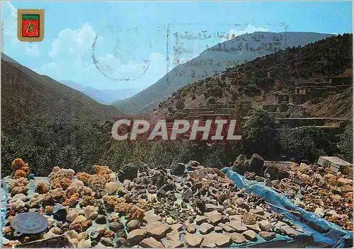 Cartes postales moderne Marrakech Vallee de l'Ourika