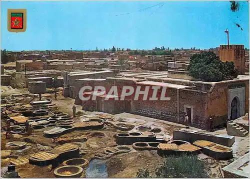 Cartes postales moderne Marrakech