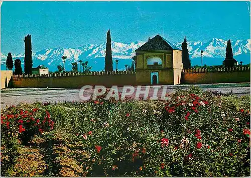 Cartes postales moderne Marrakech Les Jardins de l'Aguedal