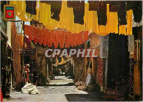 Cartes postales moderne Marrakech Tintoreros