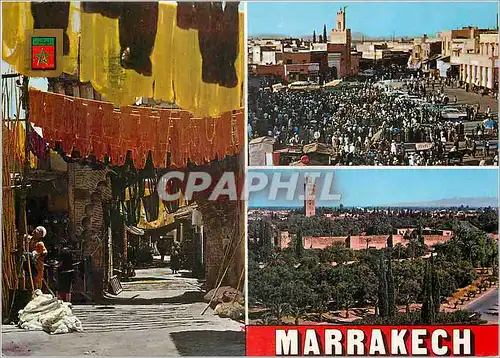 Cartes postales moderne Marrakech Divers aspects