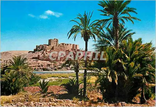 Cartes postales moderne Ouarzazate Zagora Kasbah de Tifeuiloul