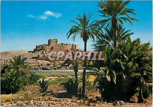 Cartes postales moderne Ouarzazate Zagora Kasbah de Tifoultout