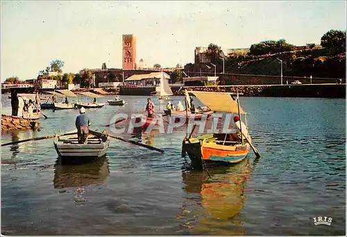Cartes postales moderne Rabat Bou Regred et la Tour Hassan
