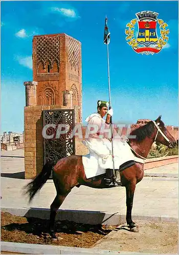Cartes postales moderne Rabat Cavalier de la Garde Royale et la Tour Hassan