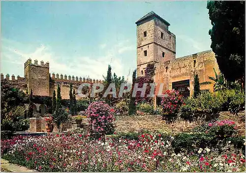 Cartes postales moderne Rabat Les Oudaias