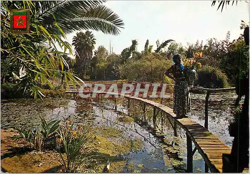 Cartes postales moderne Rabat Jardins Exotiques M Francoi