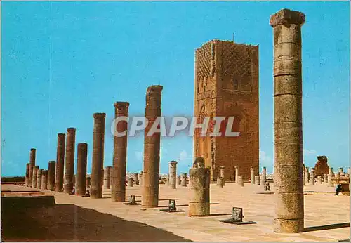 Cartes postales moderne Rabat La Tour Hassan (XIIe siecle)