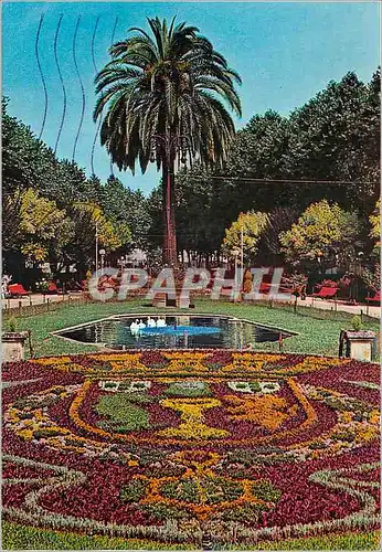 Cartes postales moderne Portugal Coimbra Parque Dr Manuel Braga