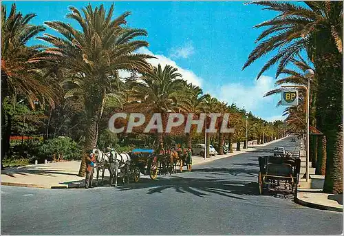 Cartes postales moderne Portugal Estoril Parque de Estoril