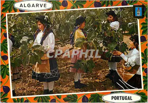 Moderne Karte Portugal Algarve Cueillette des figues
