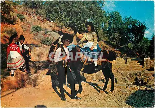 Cartes postales moderne Algarve