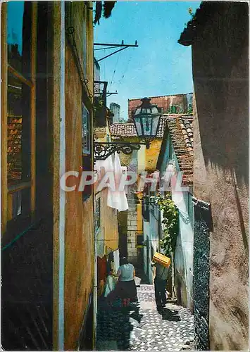 Cartes postales moderne Lisboa Rue typique d'Alfoma