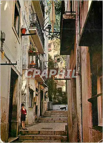 Cartes postales moderne Lisboa Alfama La vieille Lisbonne