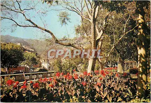 Moderne Karte Madeira 73 jardins da praca de tenerife funchal