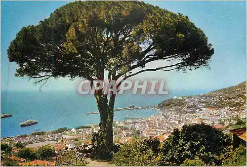 Cartes postales moderne Madeira 79 view of funchal taken from alto bom sucesso