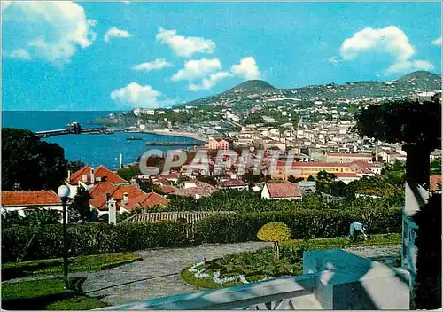 Cartes postales moderne Funchal madeira vue occidentale