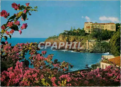 Cartes postales moderne Madeira funchal