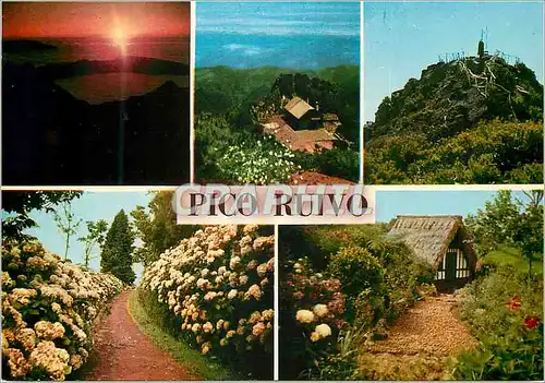 Cartes postales moderne Madeira