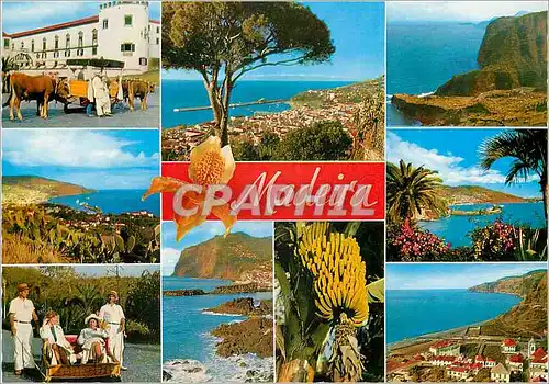 Cartes postales moderne Madeira les meilleures vues de madere