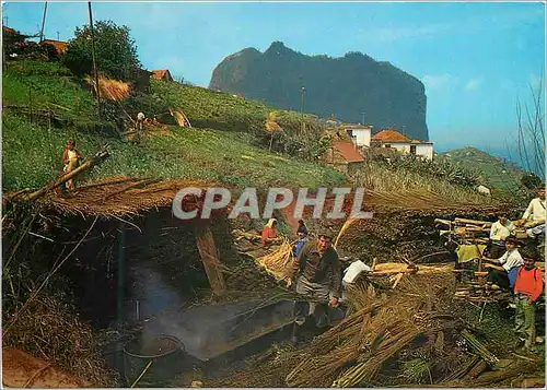 Cartes postales moderne Madeira porto de cruz