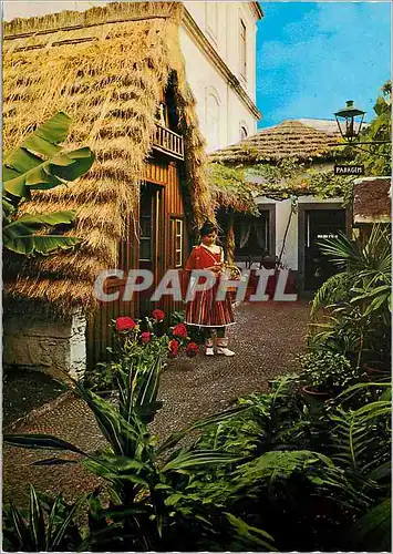 Cartes postales moderne Madeira maison typique