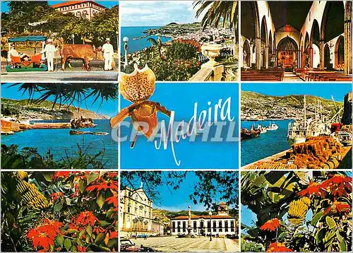 Cartes postales moderne Madeira les meilleures vues de madere