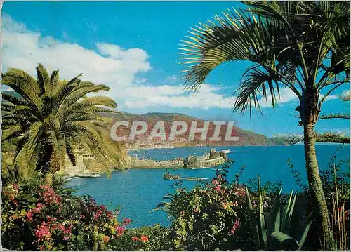 Cartes postales moderne Madeira vue orientale sur funchal