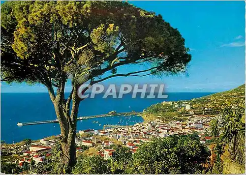 Moderne Karte Madeira vue occidentale de funchal