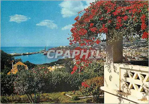 Cartes postales moderne Madeira 88 coup d oeil sur la ville et le port de funchal