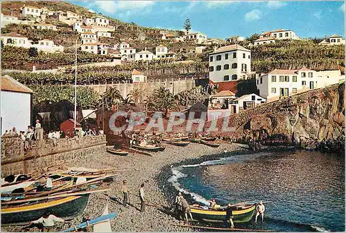 Cartes postales moderne Madeira camara de lobos 524