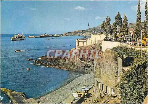 Cartes postales moderne Madeira 99 port de funchal vu de l est