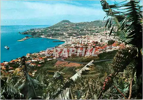 Cartes postales moderne Funchal madeira vue occidentale