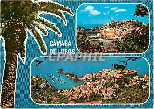 Cartes postales moderne Camara de lobos