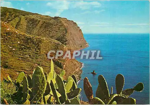 Cartes postales moderne Campanario madeira des roches sur la mer