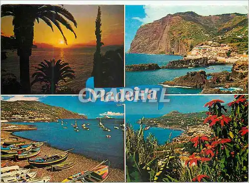 Cartes postales moderne Madeira les meilleurs vues de madere