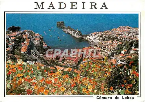 Moderne Karte Camara de lobos madeira vue partielle