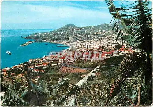 Cartes postales moderne Funchal madeira vue occidentale