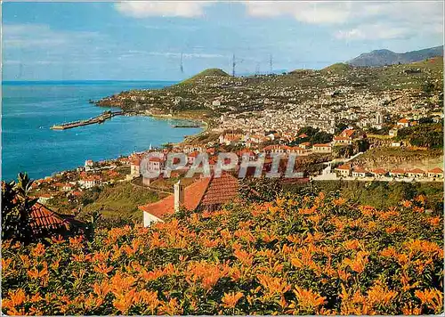 Cartes postales moderne Funchal madeira vue occidentale