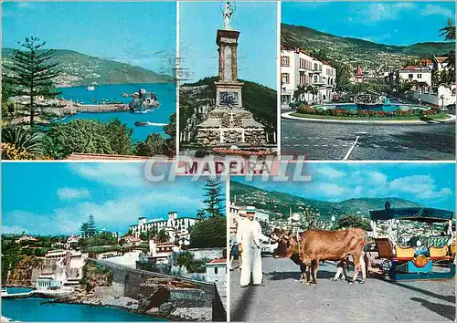 Cartes postales moderne Madeira les meilleurs vues de madere