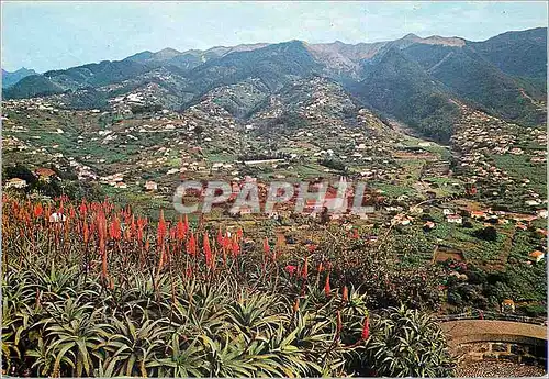 Cartes postales moderne 186 ilha da madeira portugal vue du pic des bacelos