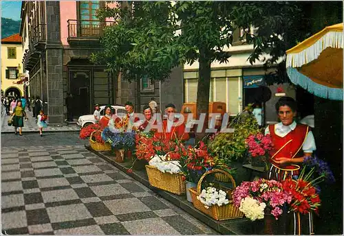 Cartes postales moderne Madeira funchal vendeuse de fleurs
