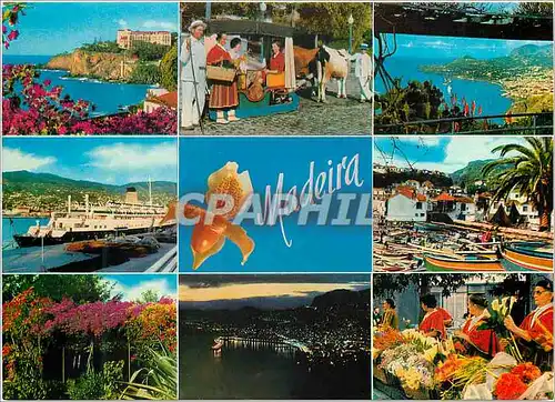 Cartes postales moderne Madeira les meilleures vues de madere